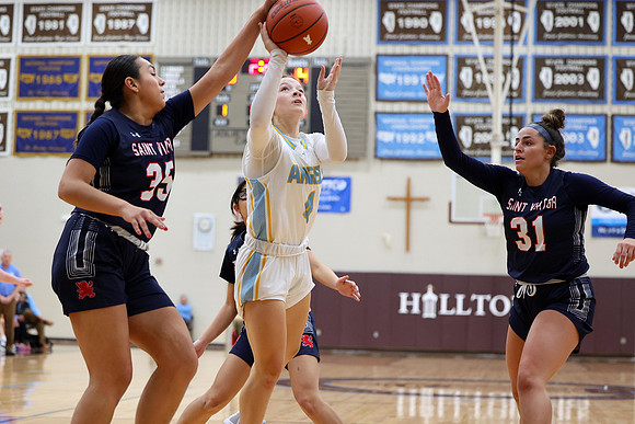 D23-JCA-MBB-528